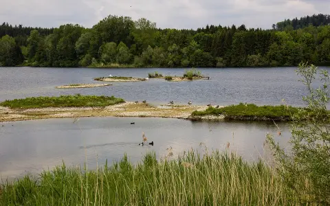 Zielfinger Vogelsee
