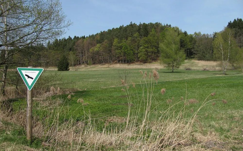 Loderhof-Weiher