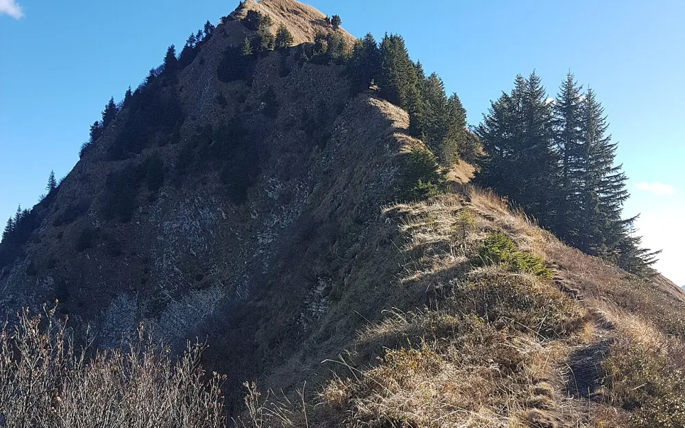 Pfrondhorn