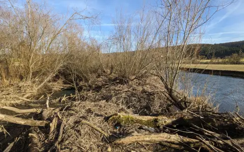 Krähenbach-Mündung