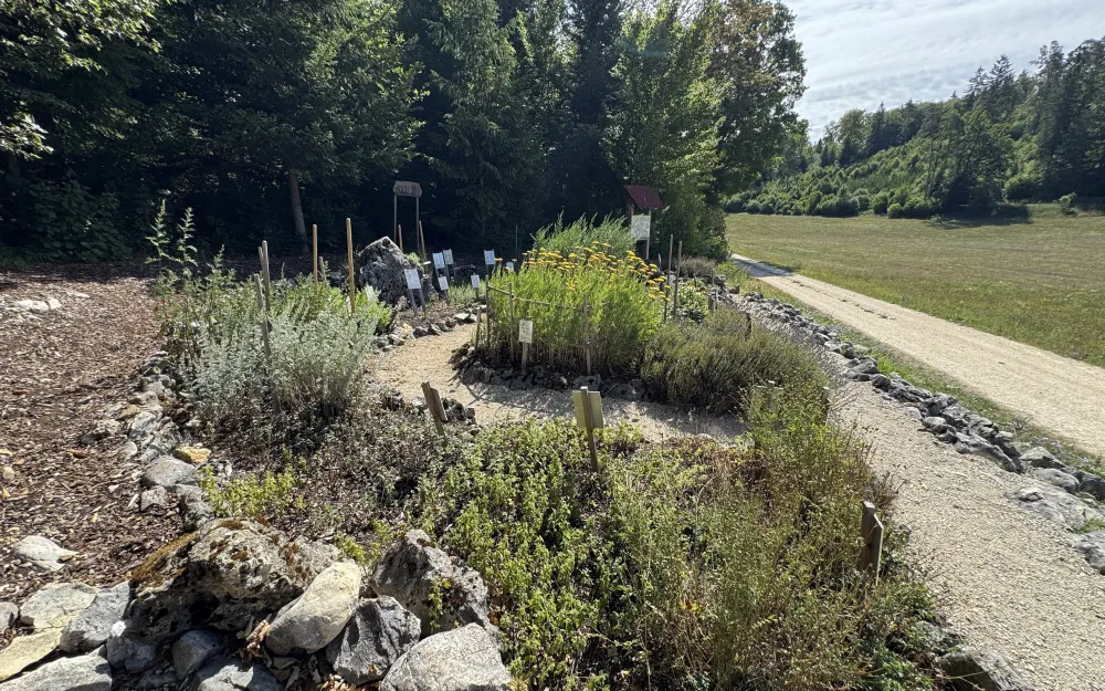 Kräutergarten