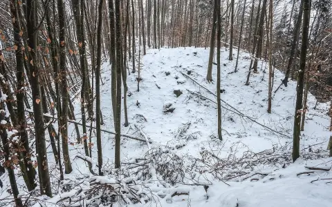 Burgstall Kaplinz