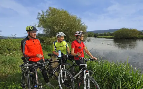 Radler an der Donau