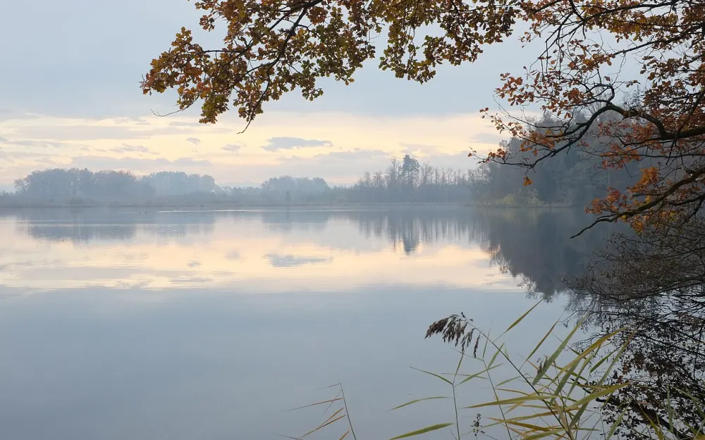 Blitzenreuter Seenplatte mit Altshauser Weiher