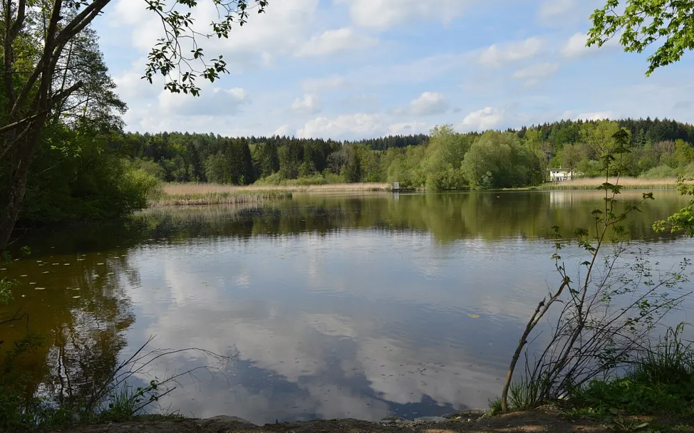 Hammerweiher