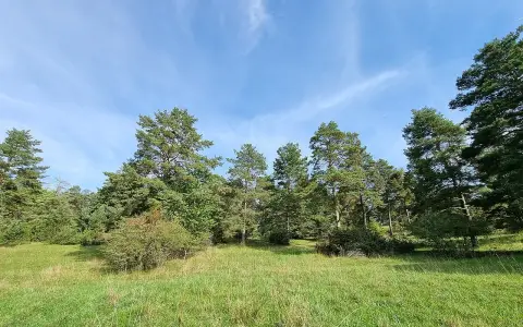 Mühlebol-Wolfental