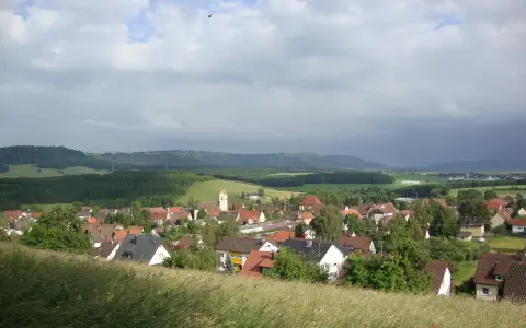 Wellendingen Ost 21 06 2010