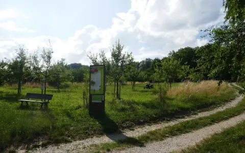 Streuobst-Sortengarten
