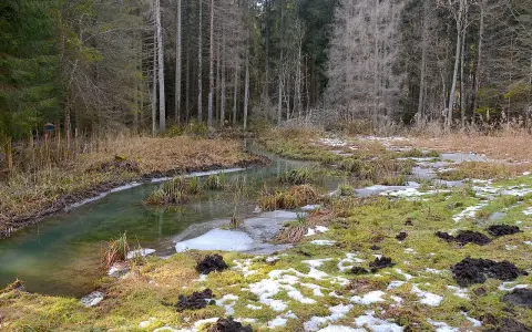 Hintere Harrasbachtalwiesen
