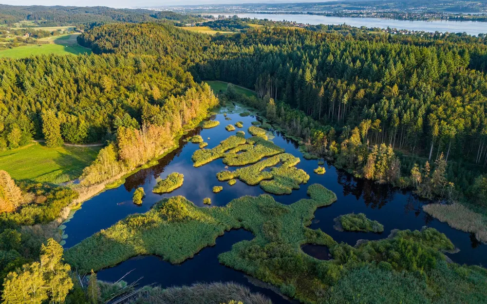 Allensbacher_Naturkino_Rundwege_auf_dem_Bodanra_ck