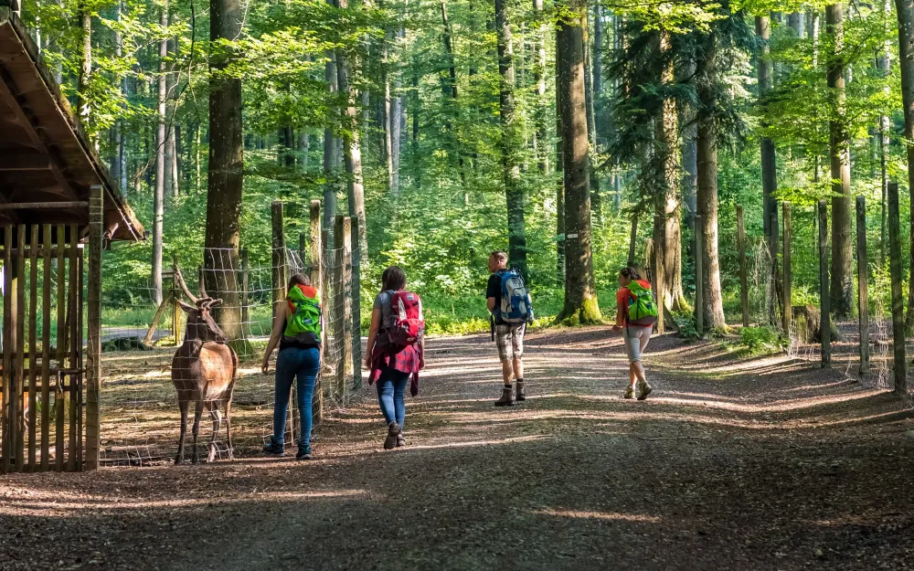Wildgehege Waldshut