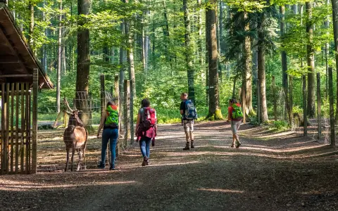 Wildgehege Waldshut