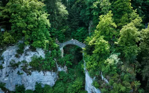 Die DonauFelsenLäufe - Fünf Sigmaringer Premiumwanderwege