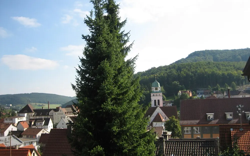 Braunhardsberg