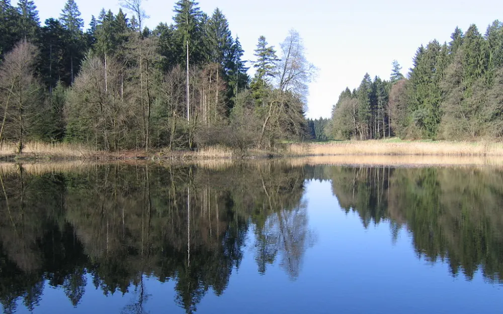 Holzweiher