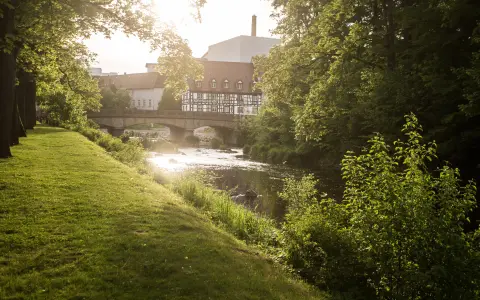 Brigach in Donaueschingen