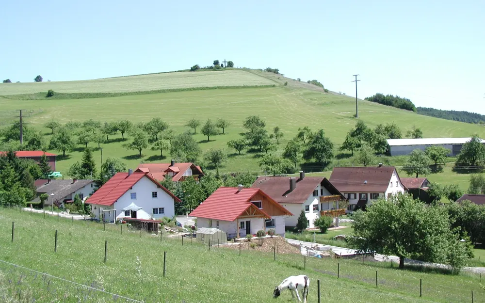 P1010022 - Homberg Leipferdingen