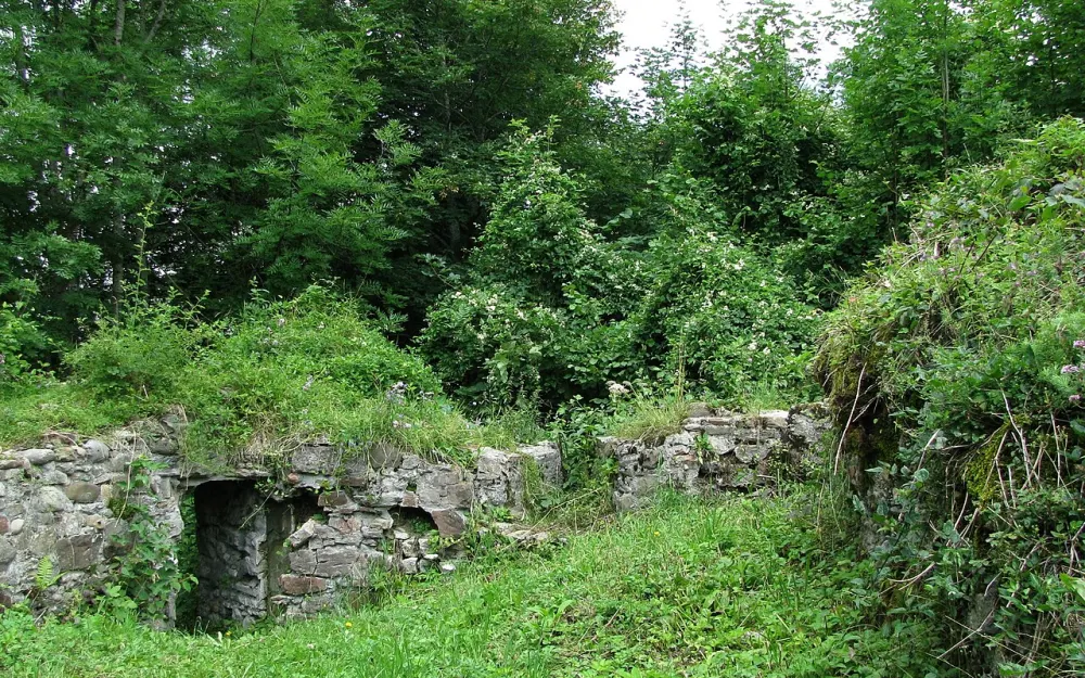 Burg Alt-Laubenberg