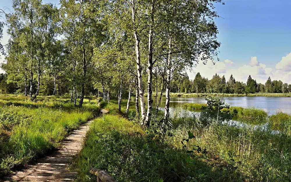 Wurzacher Ried