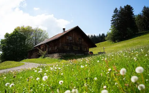 Alpe Glocke