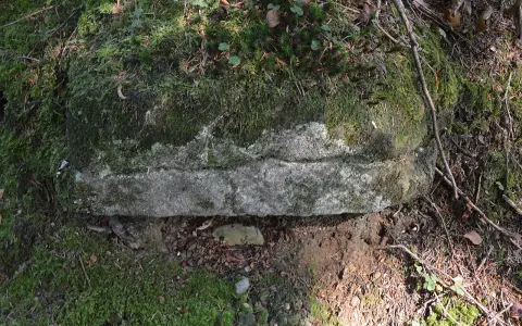 Waldburg, mittelalterliches Refugium