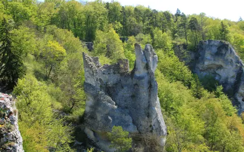 Burgruine Gebrochen Gutenstein
