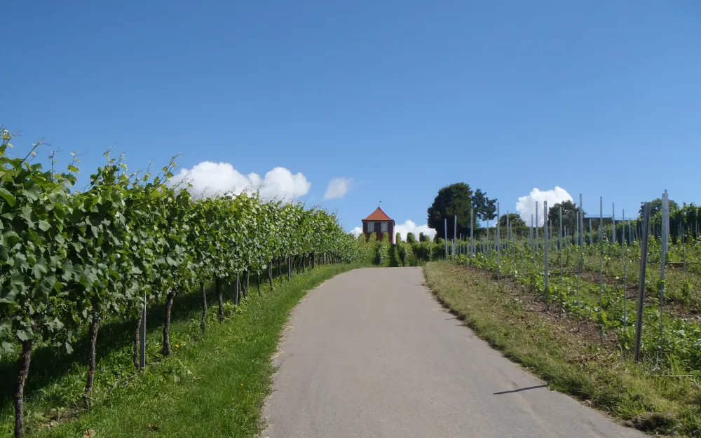 Spazierweg zum Hohberg am Apfelweg