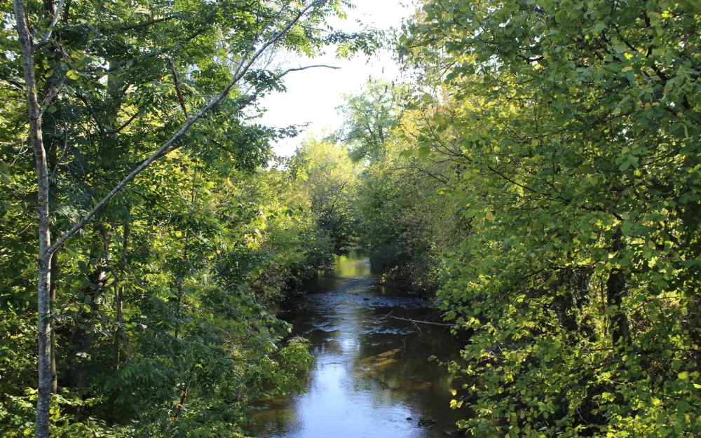 Fluss Rotach