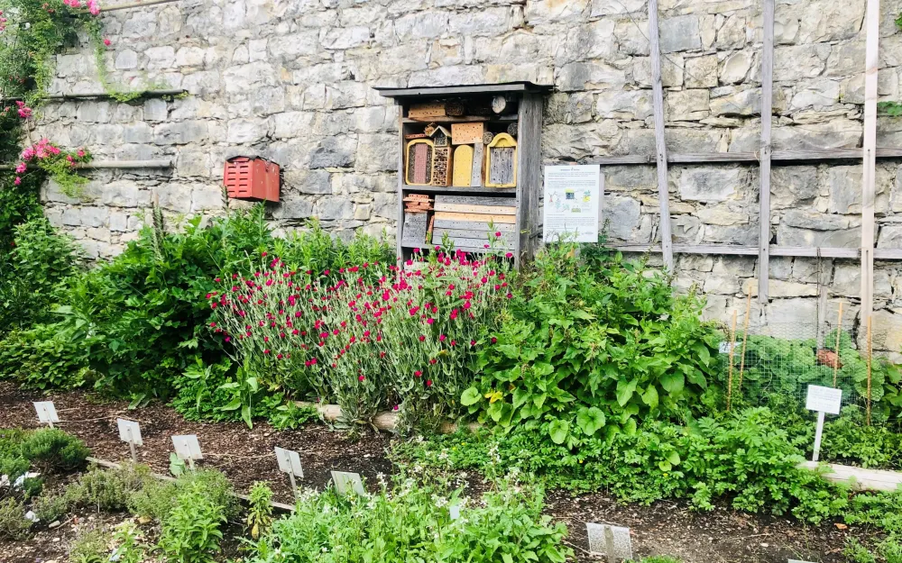 Kräutergarten Inzigkofen