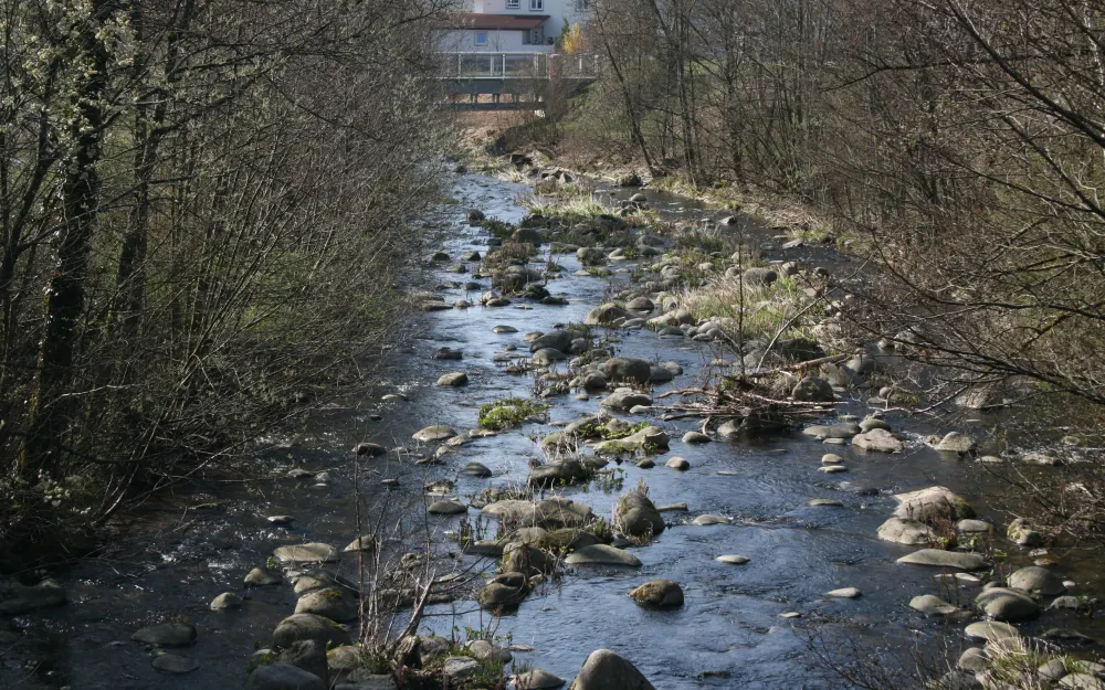 Gelbe Raute: über der Schlücht