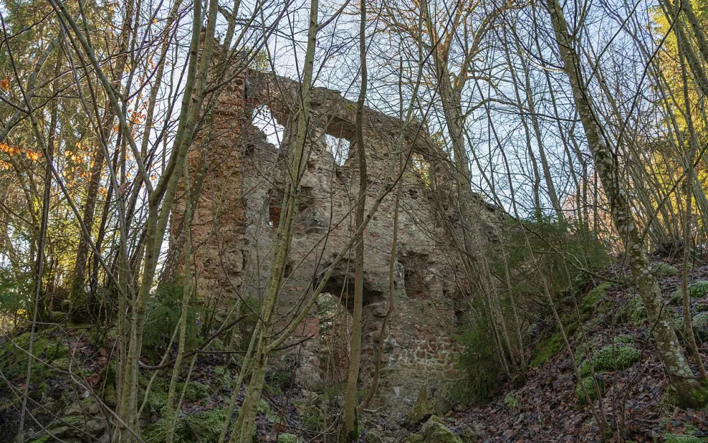 Burg Neu-Tannegg