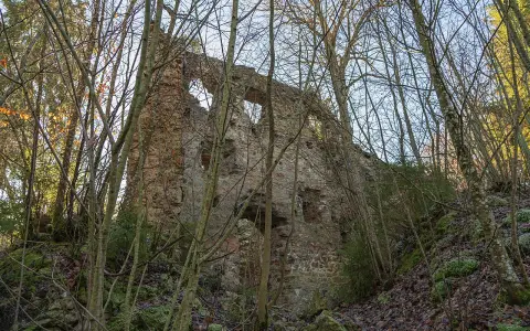 Burg Neu-Tannegg