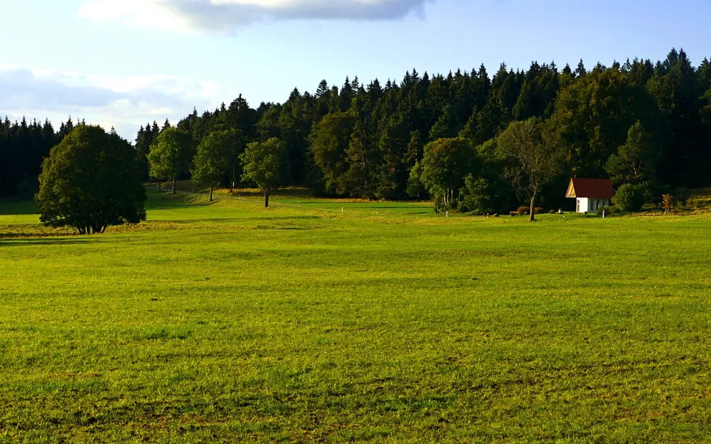 Sommerschafweide am Eingang zum Schäfertal, im Grauental, Kuhwasen und am Hühnerbühl