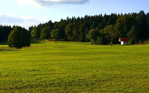 Sommerschafweide am Eingang zum Schäfertal, im Grauental, Kuhwasen und am Hühnerbühl