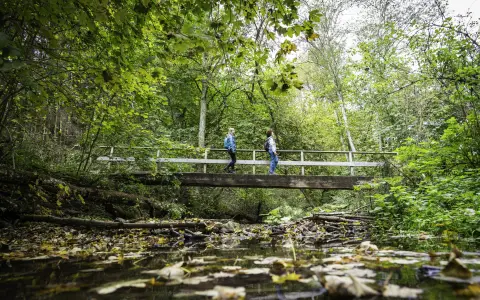 Gauchachschlucht