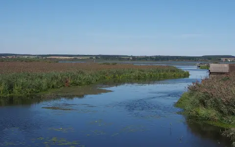 Federsee