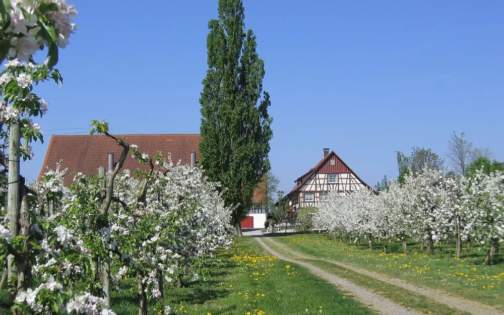 Haldenberg
