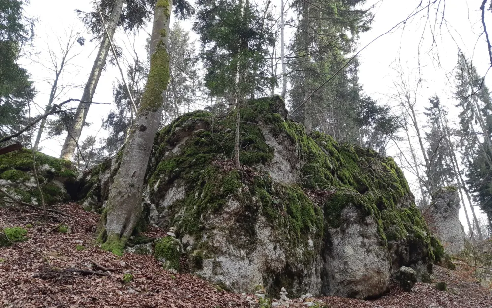 Kleines Felsenmeer