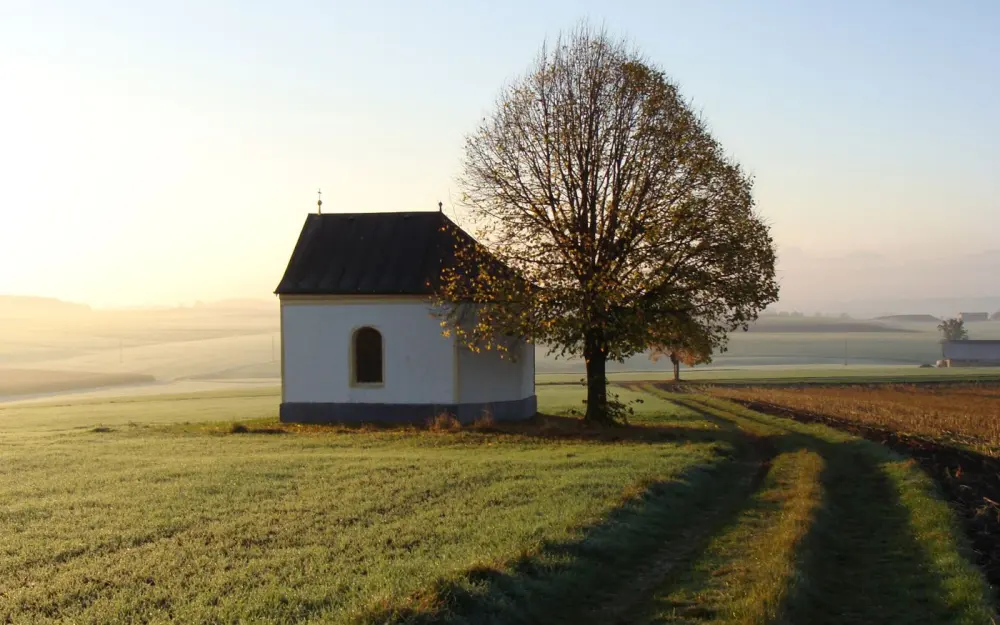 Symbolbild: A tranquil scene featuring a small building and autumn tree in the countryside at sunrise.