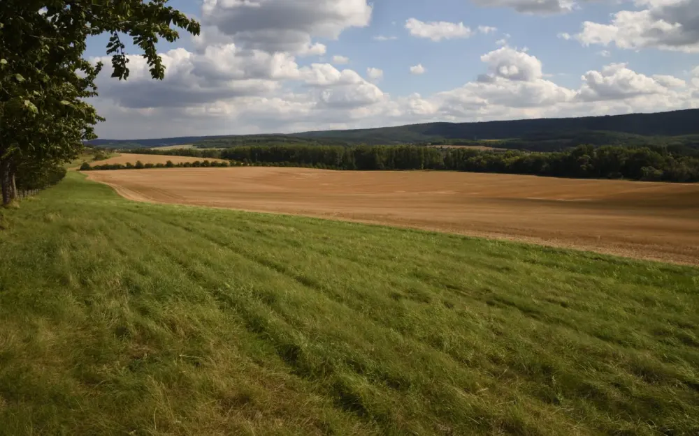 Symbolbild: Expansive view of agricultural fields and lush greenery under a partly cloudy sky in Thale, Germany.