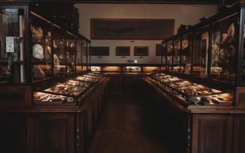 Symbolbild: Exhibit of minerals and fossils in the Vienna Natural History Museum, featuring classic display cases.