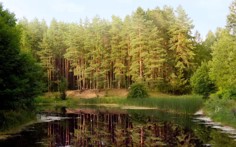 Symbolbild: A tranquil forest lake in Belarus with vivid reflections of lush greenery under a bright sky.