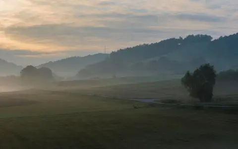 Symbolbild: Serene rural landscape in Birkenau, Germany, at dusk with fog and rolling hills.