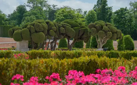 Symbolbild: Beautifully sculpted trees and bright flowers in Madrid's iconic Retiro Park during spring.