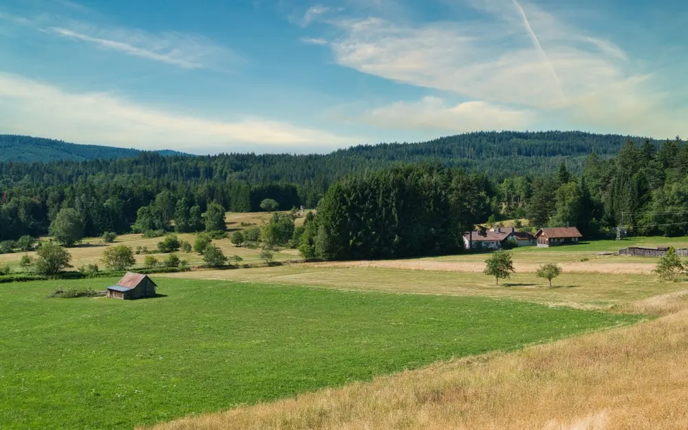 Symbolbild: Beautiful rural landscape in Dobel with fields and farmhouse under a clear sky.