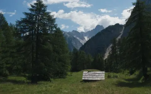 Symbolbild: Beautiful mountain landscape with lush greenery, tall coniferous trees, and a quaint wooden cabin.