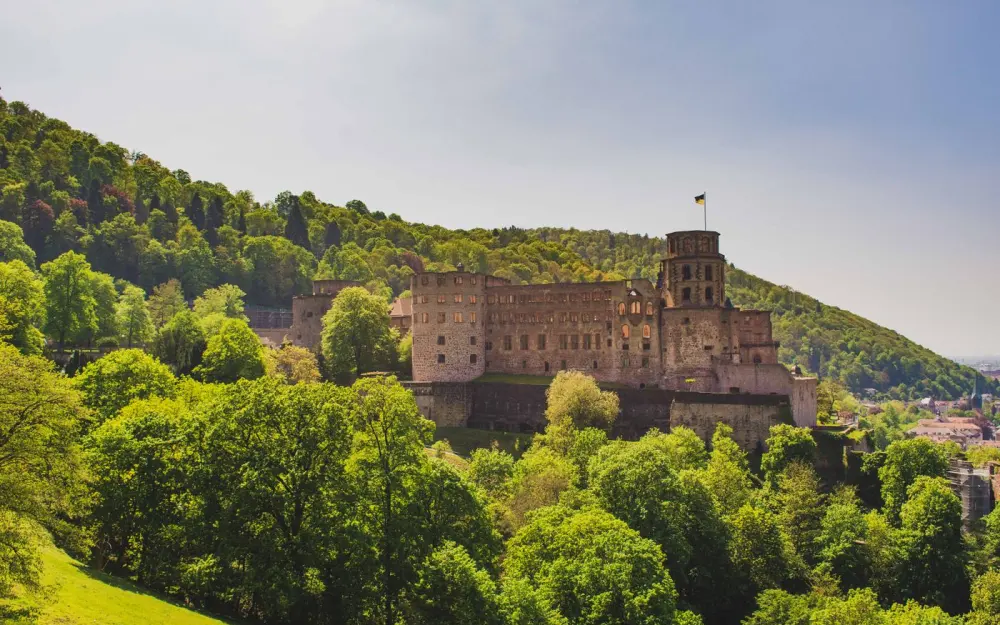 Symbolbild: Scenic view of Heidelberg Castle surrounded by vibrant trees on a clear day.