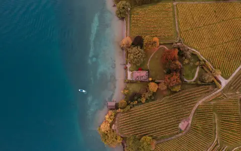 Symbolbild: Stunning aerial shot of a vineyard by a lake with autumn foliage.