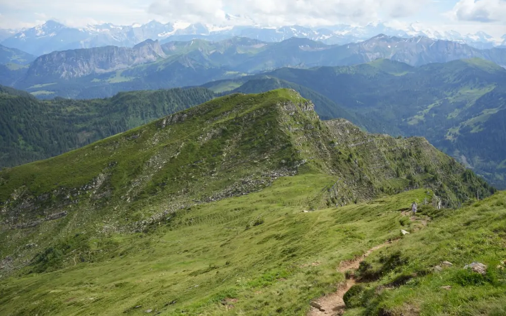 Symbolbild: Scenic view of lush alpine landscape and distant snow-capped peaks in summer.