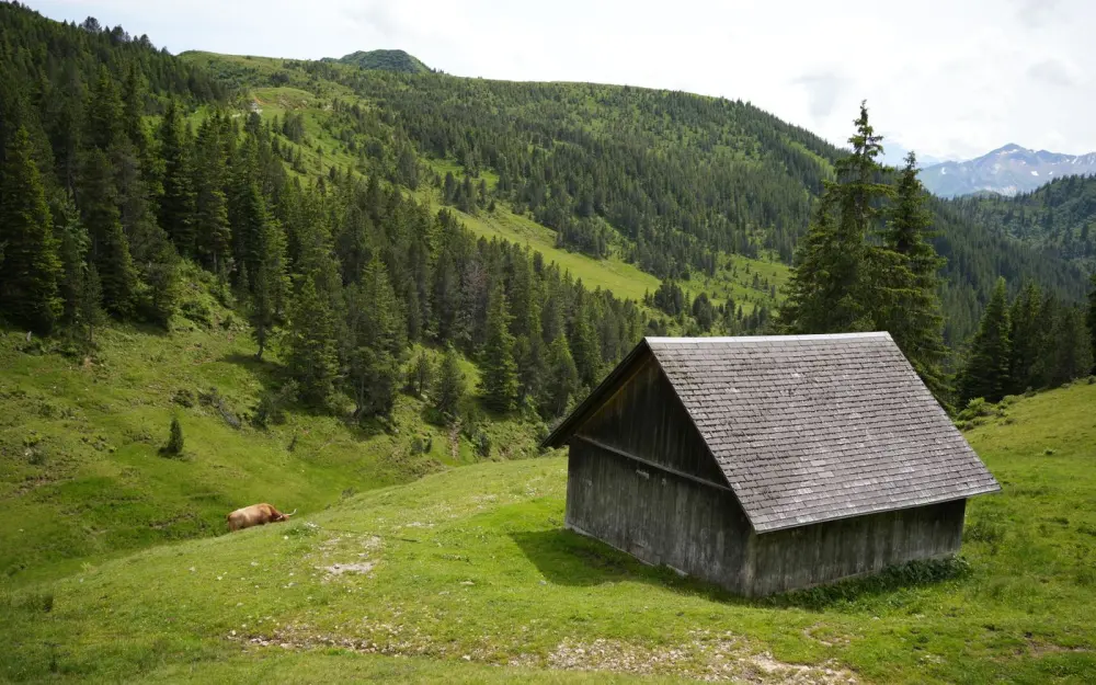 Symbolbild: A picturesque alpine scene featuring a rustic wooden cabin and lush green hills under a clear sky.